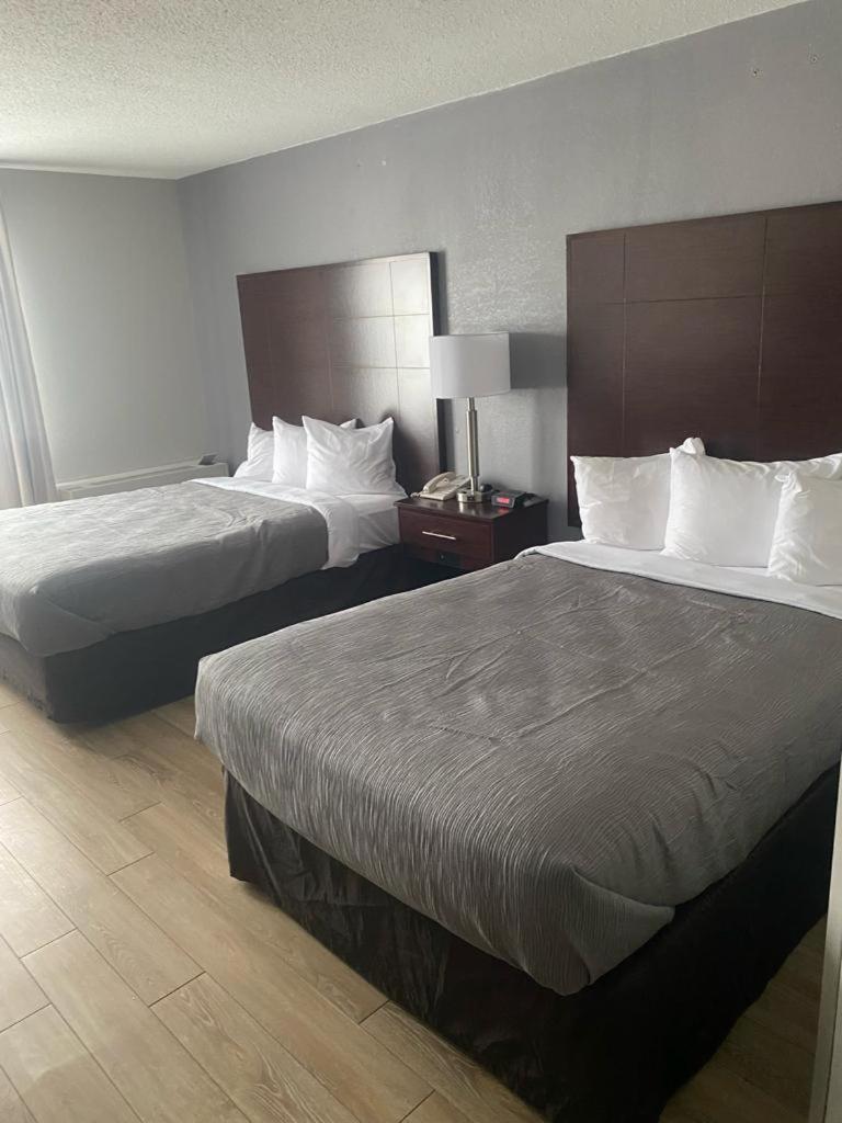 Quality Inn Colchester - Burlington Zewnętrze zdjęcie