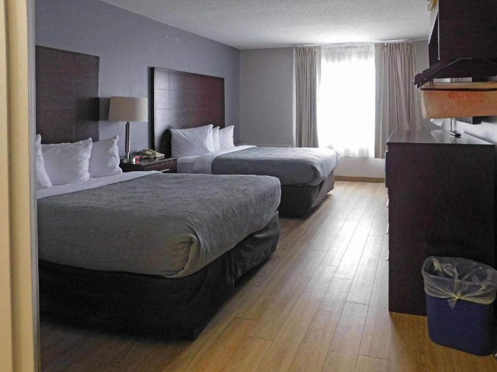 Quality Inn Colchester - Burlington Zewnętrze zdjęcie
